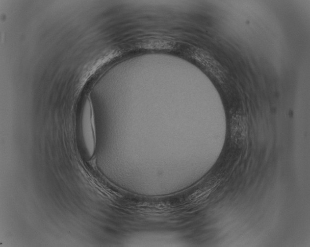 X0000087330727200705181035