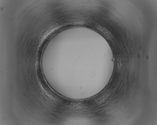 X0000087330728200705181035