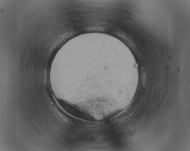 X0000087330729200705181035