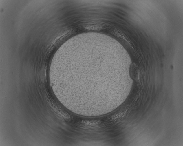X0000087330733200705181035