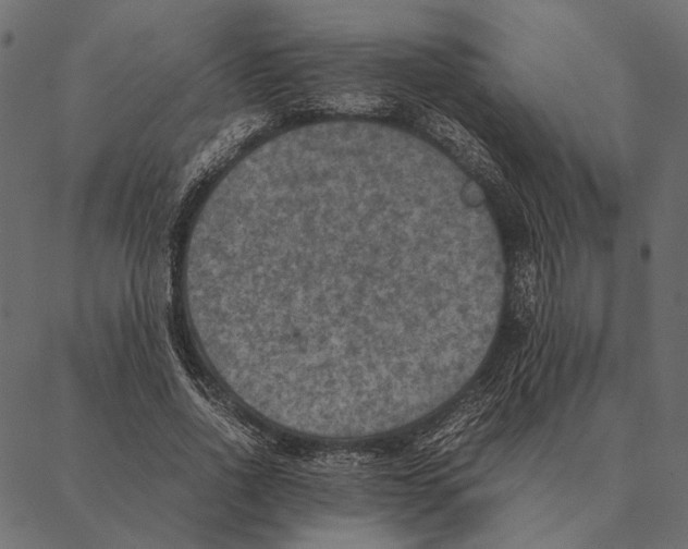 X0000087330734200705181035
