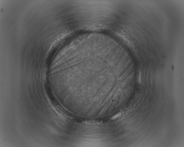 X0000087330736200705181035