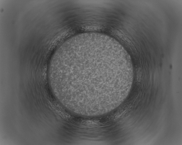 X0000087330737200705181035