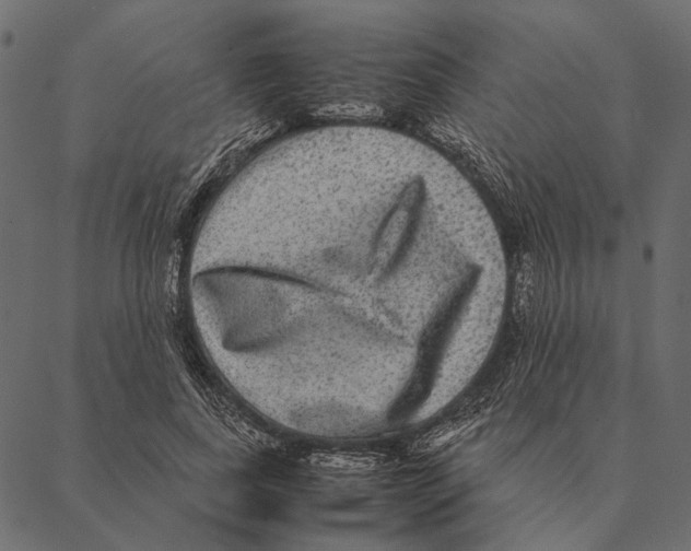 X0000087330739200705181035