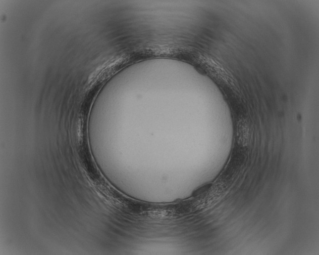 X0000087330740200705181035