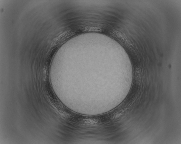 X0000087330741200705181036