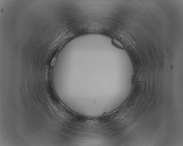 X0000087330744200705181036