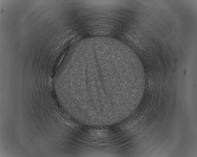 X0000087330745200705181036