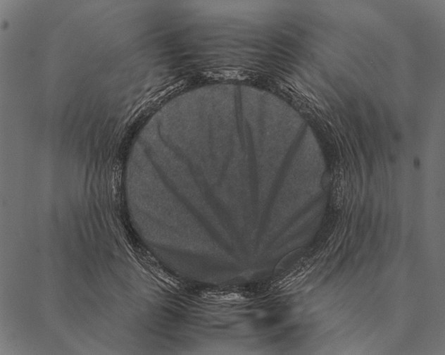 X0000087330747200705181036