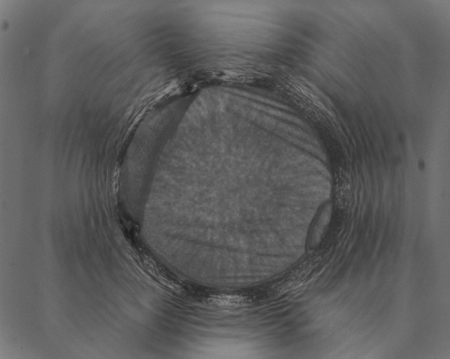 X0000087330748200705181036
