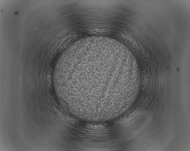 X0000087330749200705181036