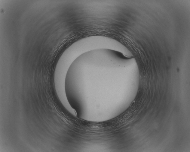 X0000087330750200705181036