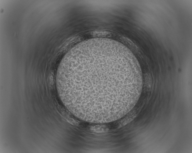 X0000087330761200705181036