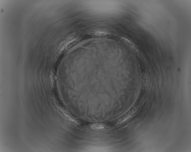 X0000087330762200705181036