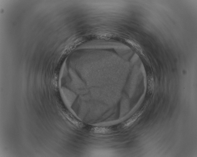 X0000087330766200705181036