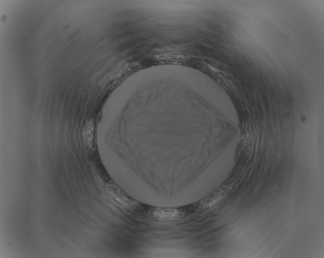 X0000087330767200705181036