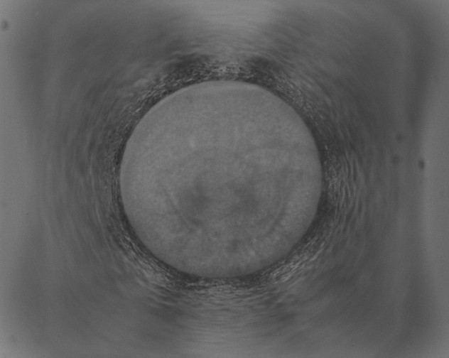 X0000087330769200705181035