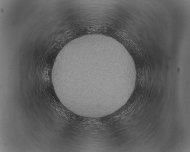 X0000087330770200705181035