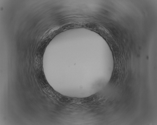 X0000087330773200705181035