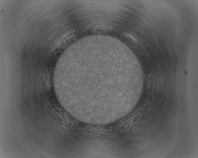 X0000087330774200705181035