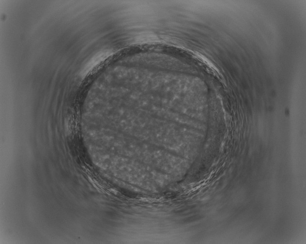 X0000087330775200705181035