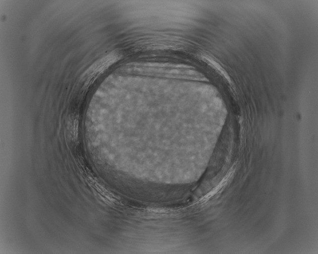 X0000087330777200705181035