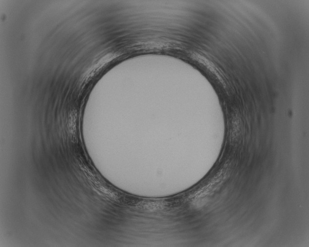 X0000087330778200705181035