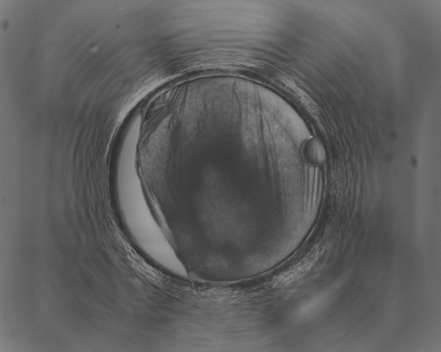 X0000087330779200705181035