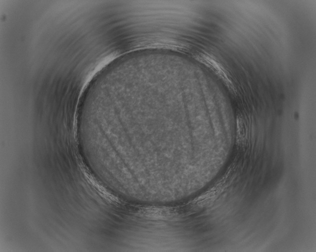 X0000087330780200705181035
