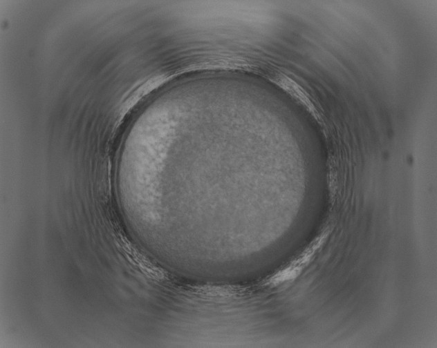 X0000087330781200705181035