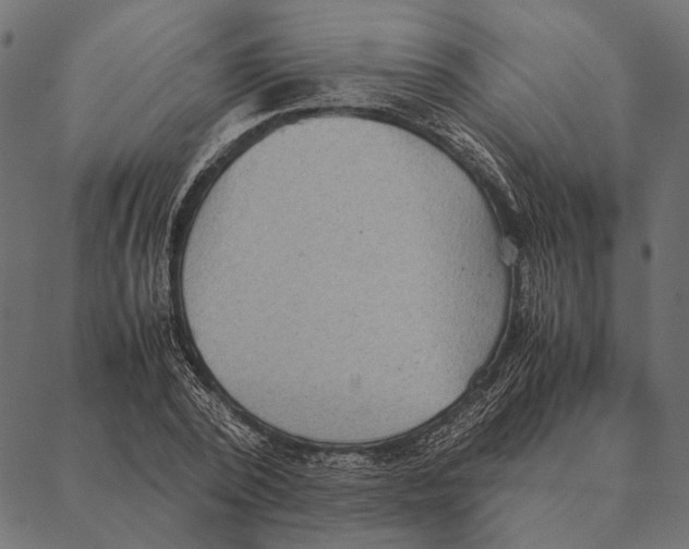 X0000087330784200705181035