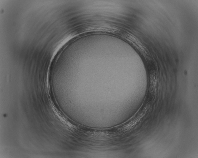 X0000087330788200705181035