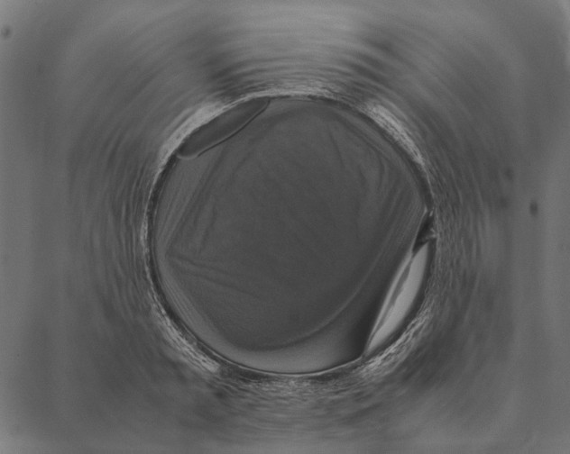 X0000087330797200705181035
