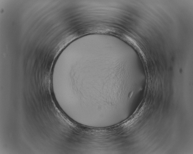 X0000087330802200705181035