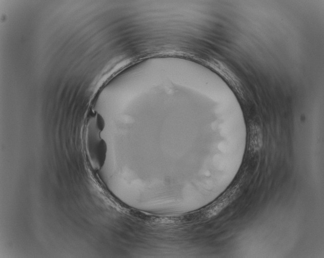 X0000087330806200705181035