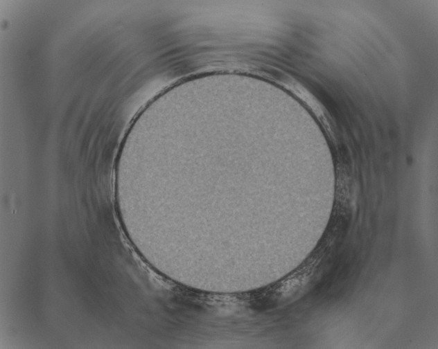 X0000087330807200705181035