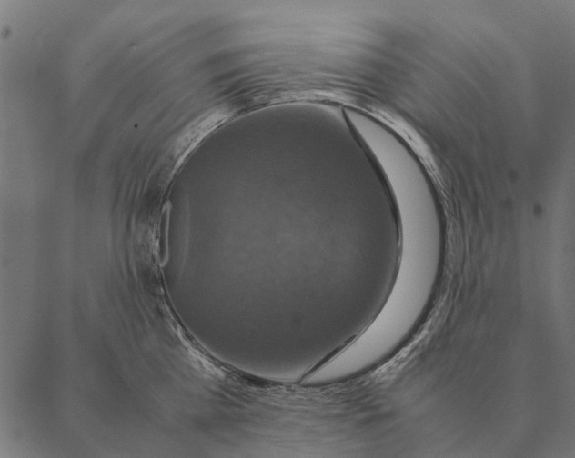 X0000087330809200705181035