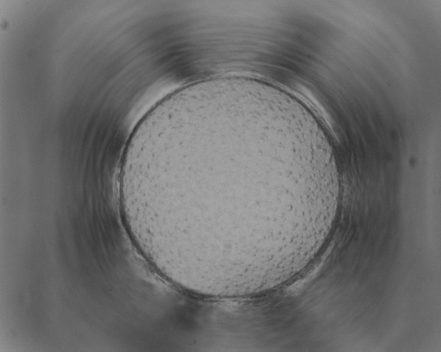 X0000087330814200705181034