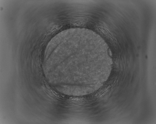 X0000087330817200705181034