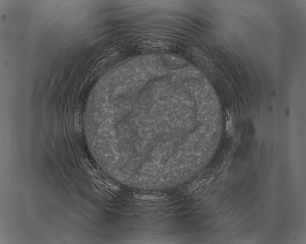 X0000087330819200705181034