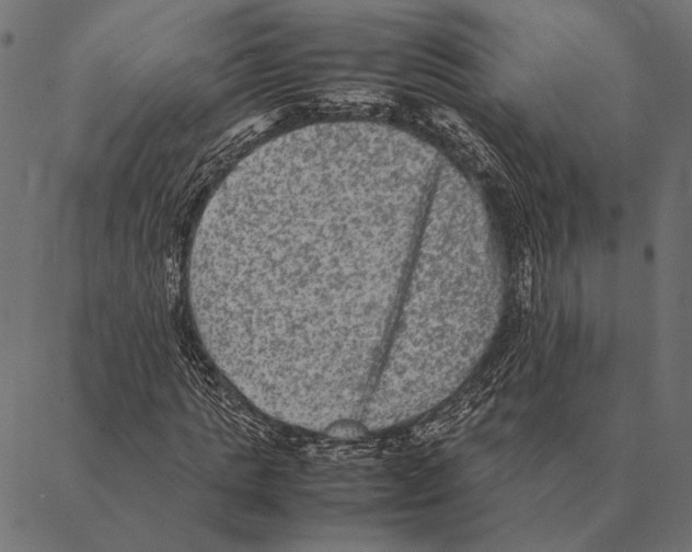 X0000087330821200705181034