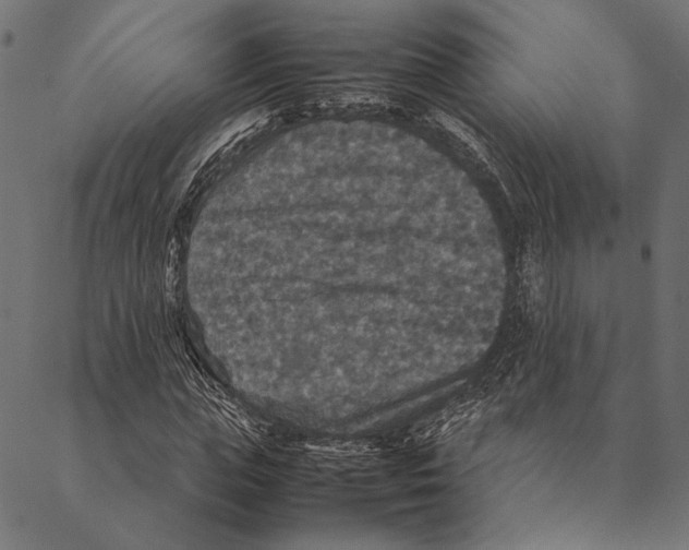 X0000087330823200705181034
