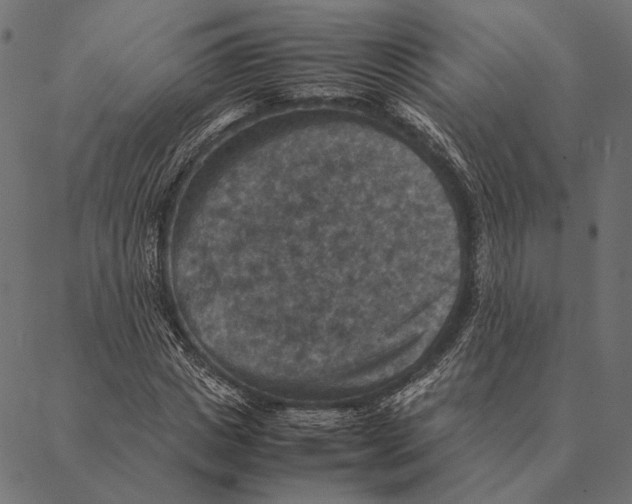 X0000087330825200705181034