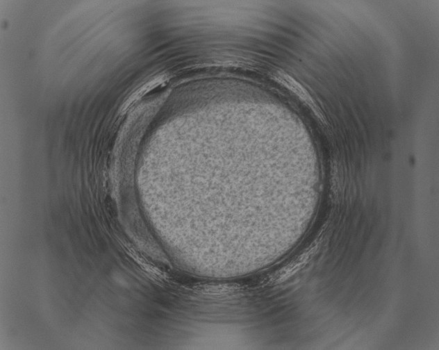 X0000087330826200705181034