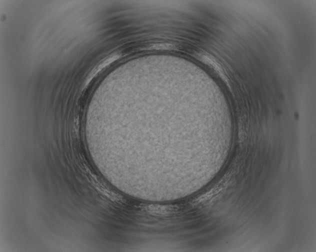 X0000087330827200705181034