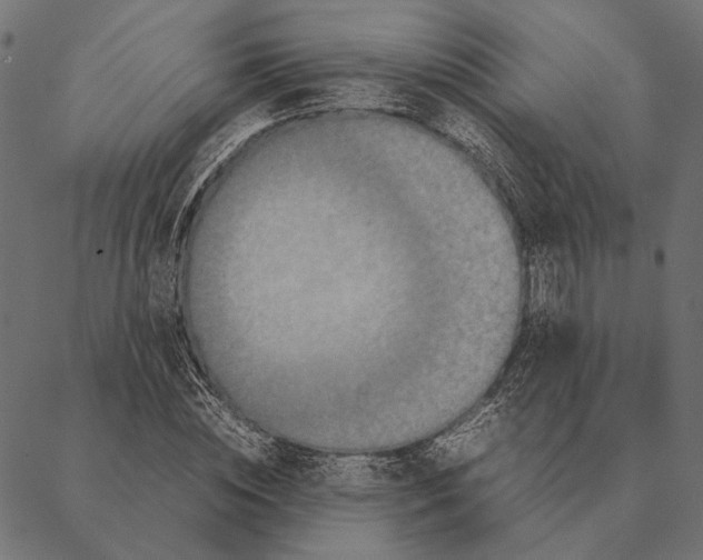 X0000087330828200705181034