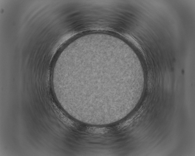 X0000087330831200705181034