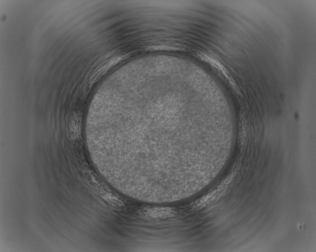 X0000087330833200705181034