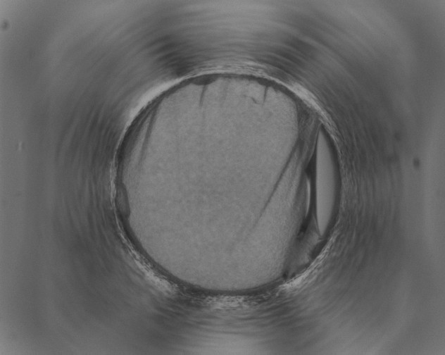 X0000087330846200705181034