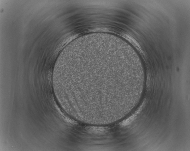 X0000087330849200705181034
